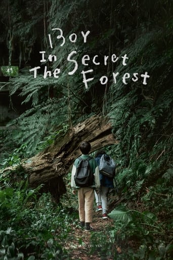 Poster of Boy in the Secret Forest