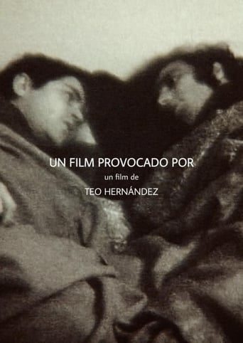 Poster of Un Film Provocado Por