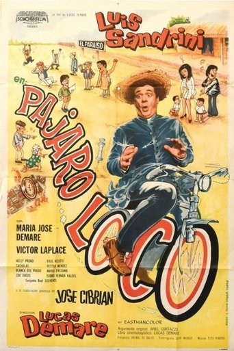 Poster of Pájaro loco