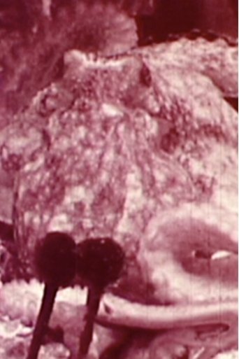 Poster of Aurora Borealis