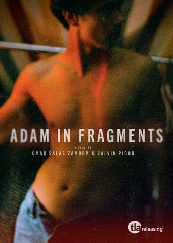 Portrait for Adam in Fragments - Season 1