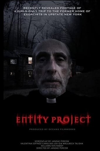 Poster of Entity Project