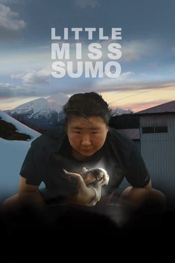 Poster of Little Miss Sumo