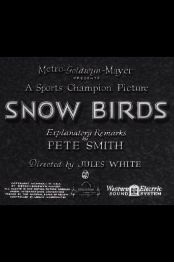 Poster of Snow Birds