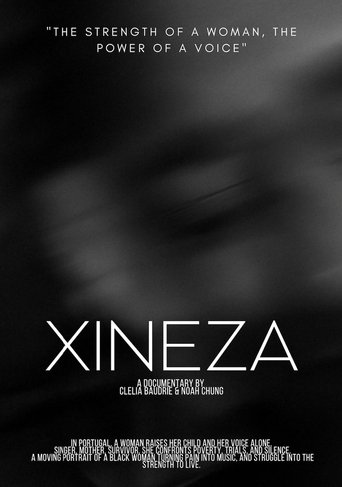 Poster of Xineza