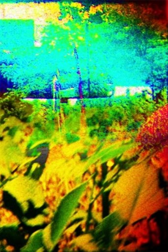 Poster of The Colors of Boulder in the Summer