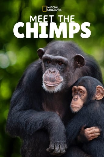 Poster of Meet the Chimps