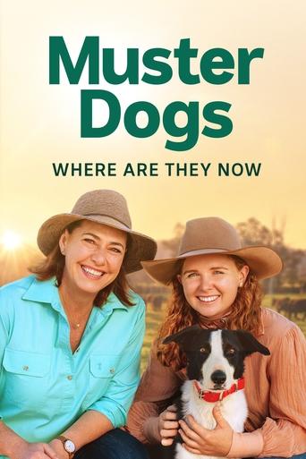 Poster of Muster Dogs: Where Are They Now