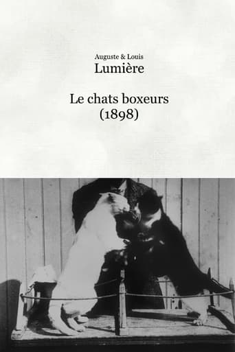 Poster of Les chats boxeurs