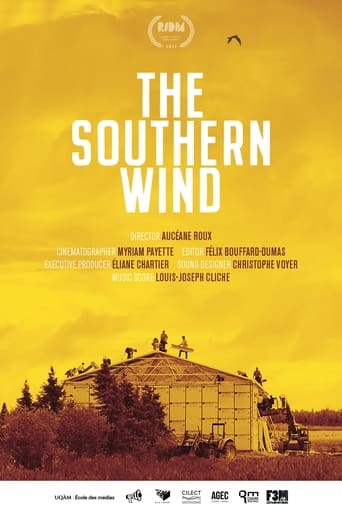 Poster of The Southern Wind