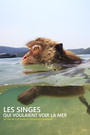 Poster of Les singes qui voulaient voir la mer