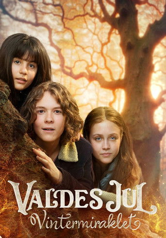 Poster of Valdes Jul - Vintermiraklet