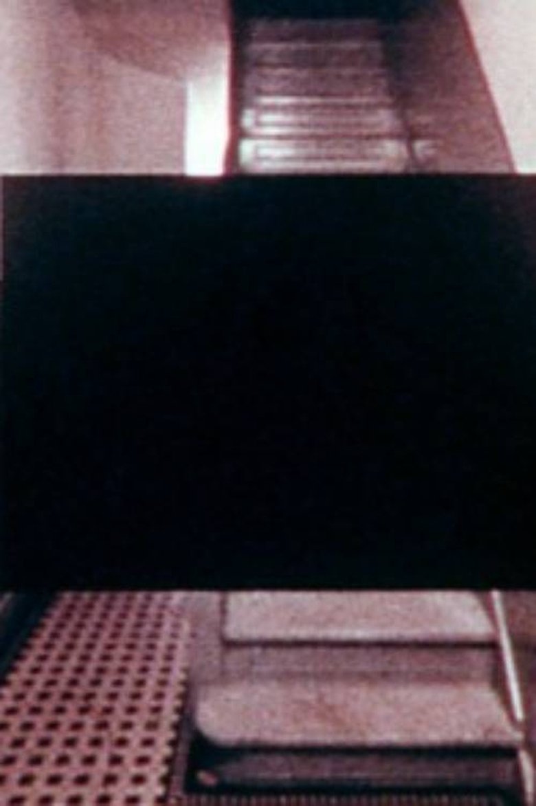 Poster of Picking Up the Pieces