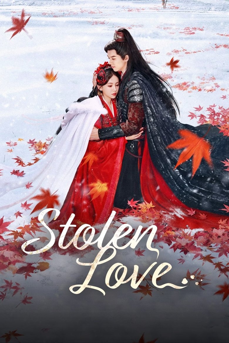 Poster of Stolen Love