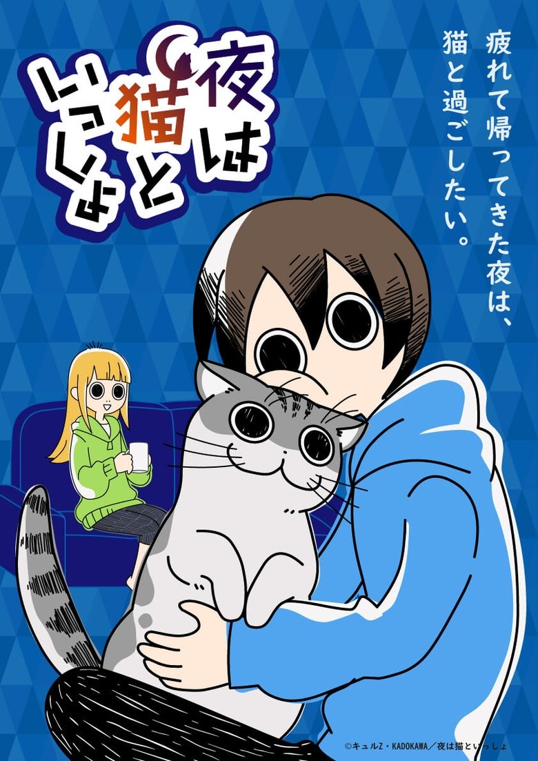 Poster of Nights with a Cat