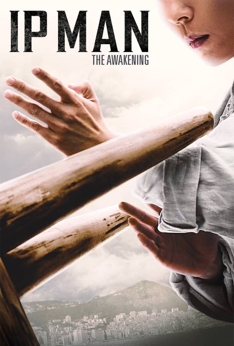 Poster of Ip Man: The Awakening