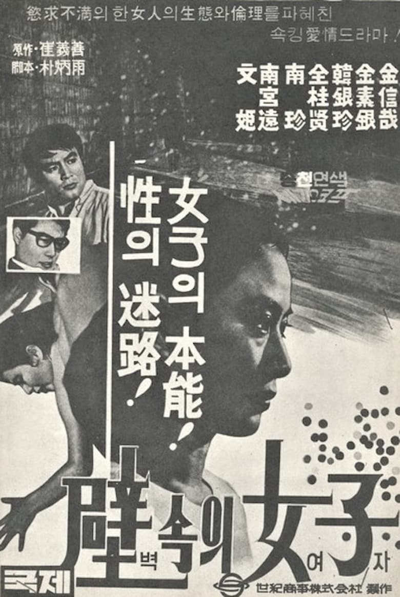 Poster of A Woman in the Wall