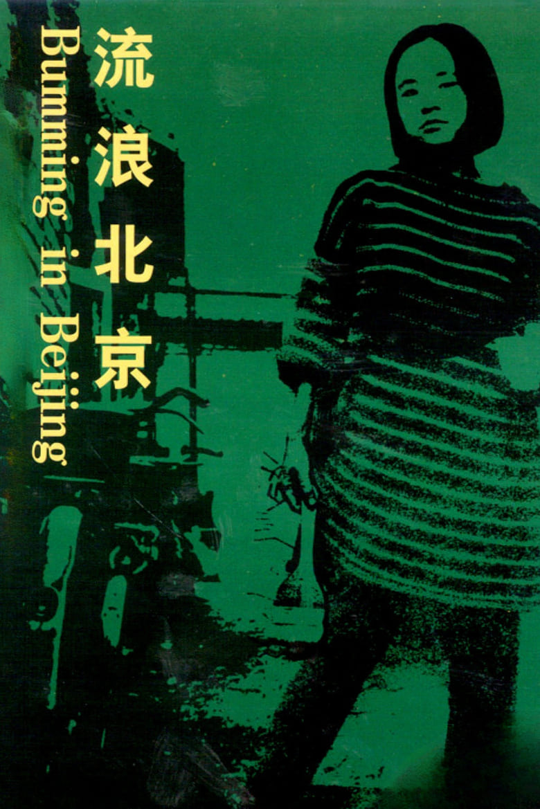 Poster of Bumming in Beijing: The Last Dreamers