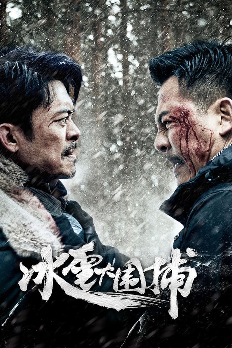 Poster of Snowstorm