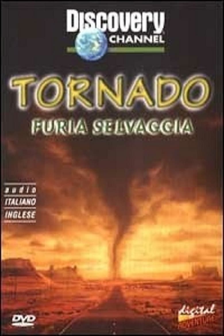 Poster of Tornado Chasers