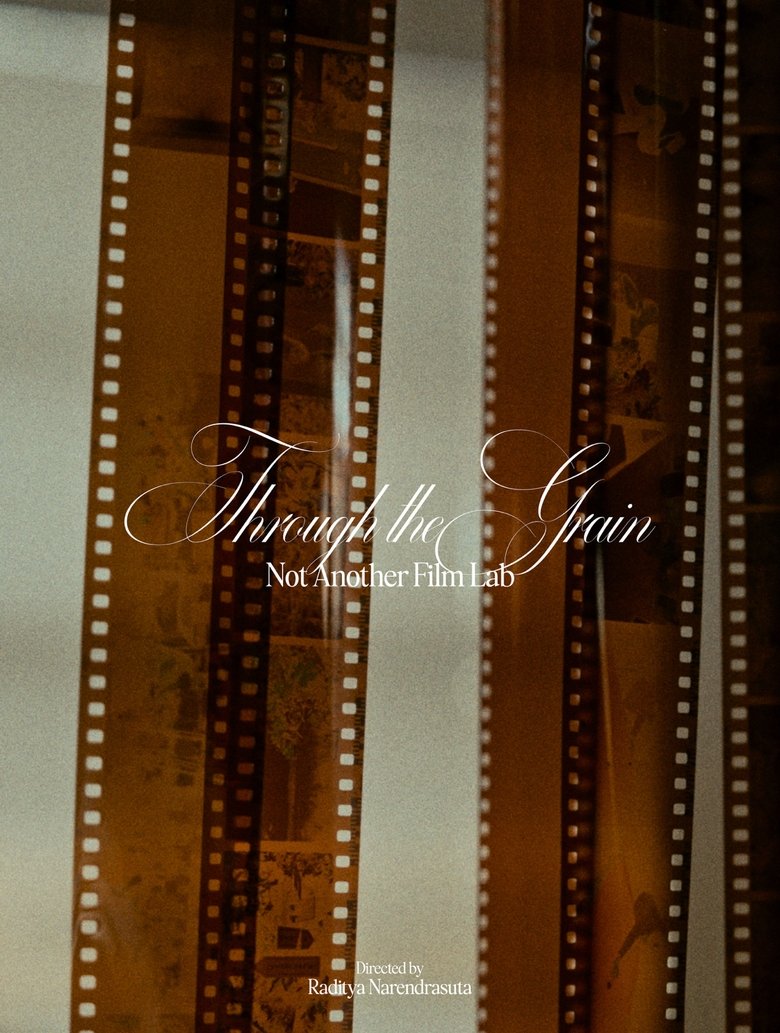 Poster of Through the Grain: Not Another Film Lab