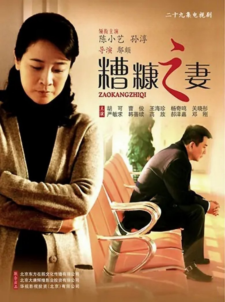 Poster of 我的糟糠之妻