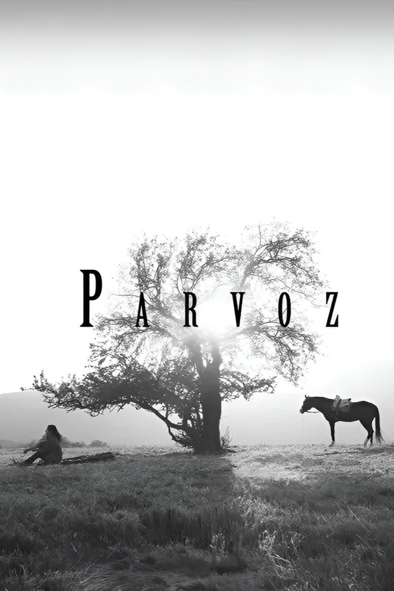 Poster of Parvoz