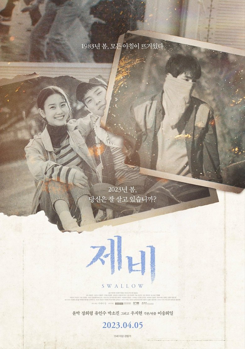 Poster of Swallow