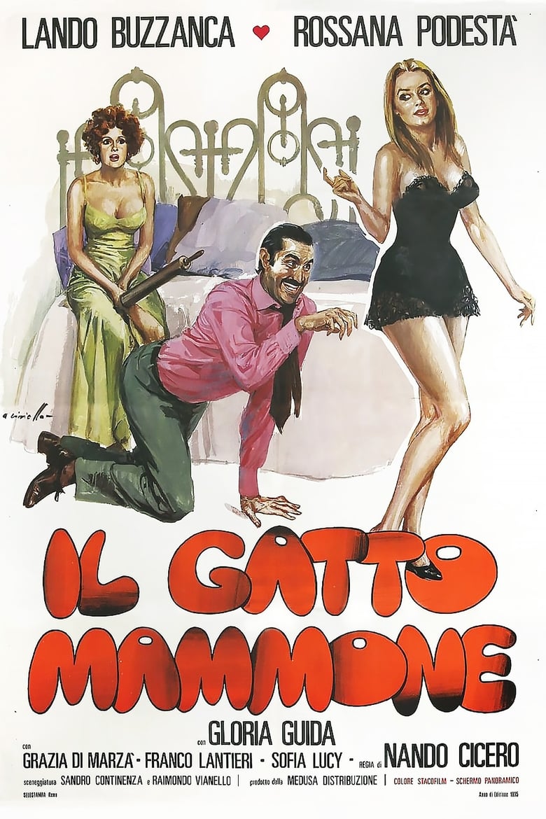 Poster of Il gatto mammone