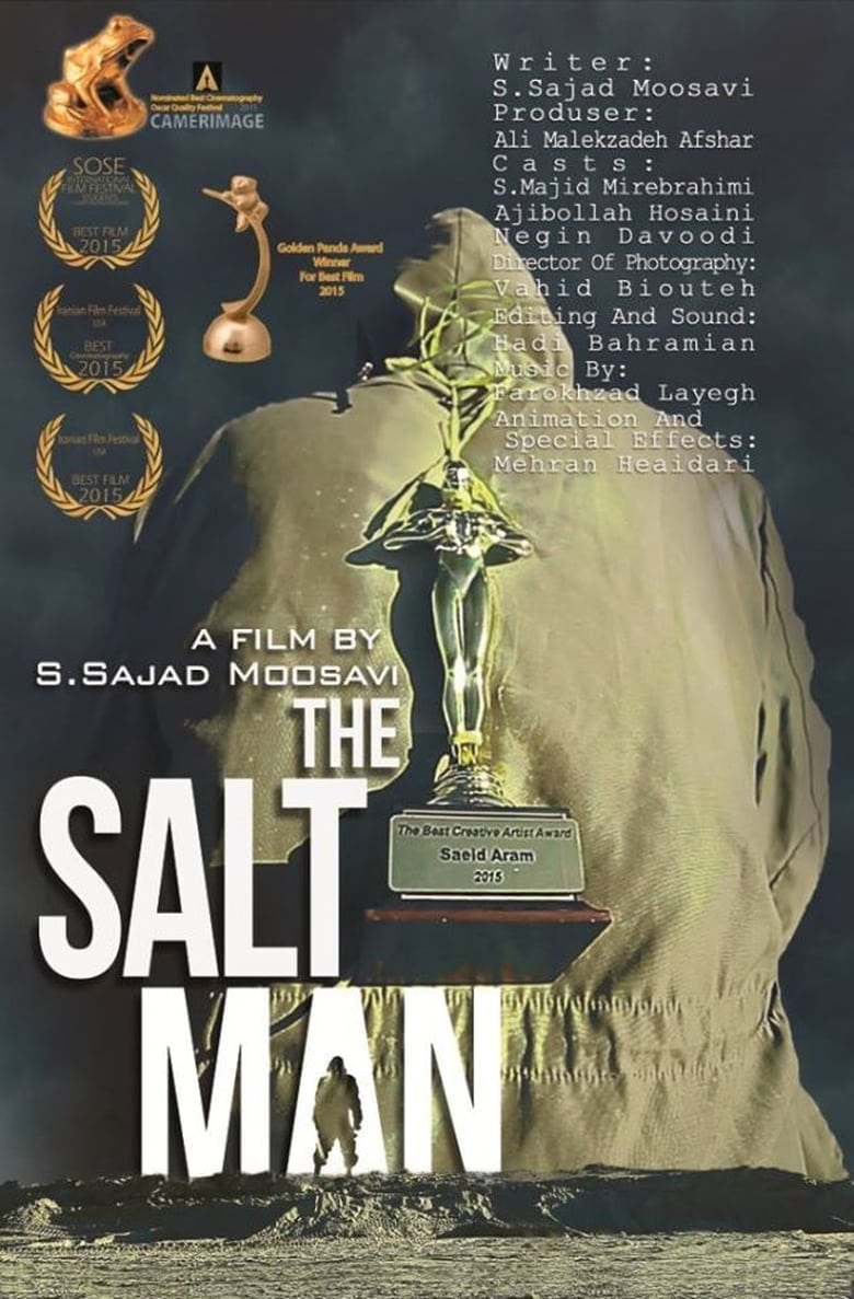 Poster of The Salt Man