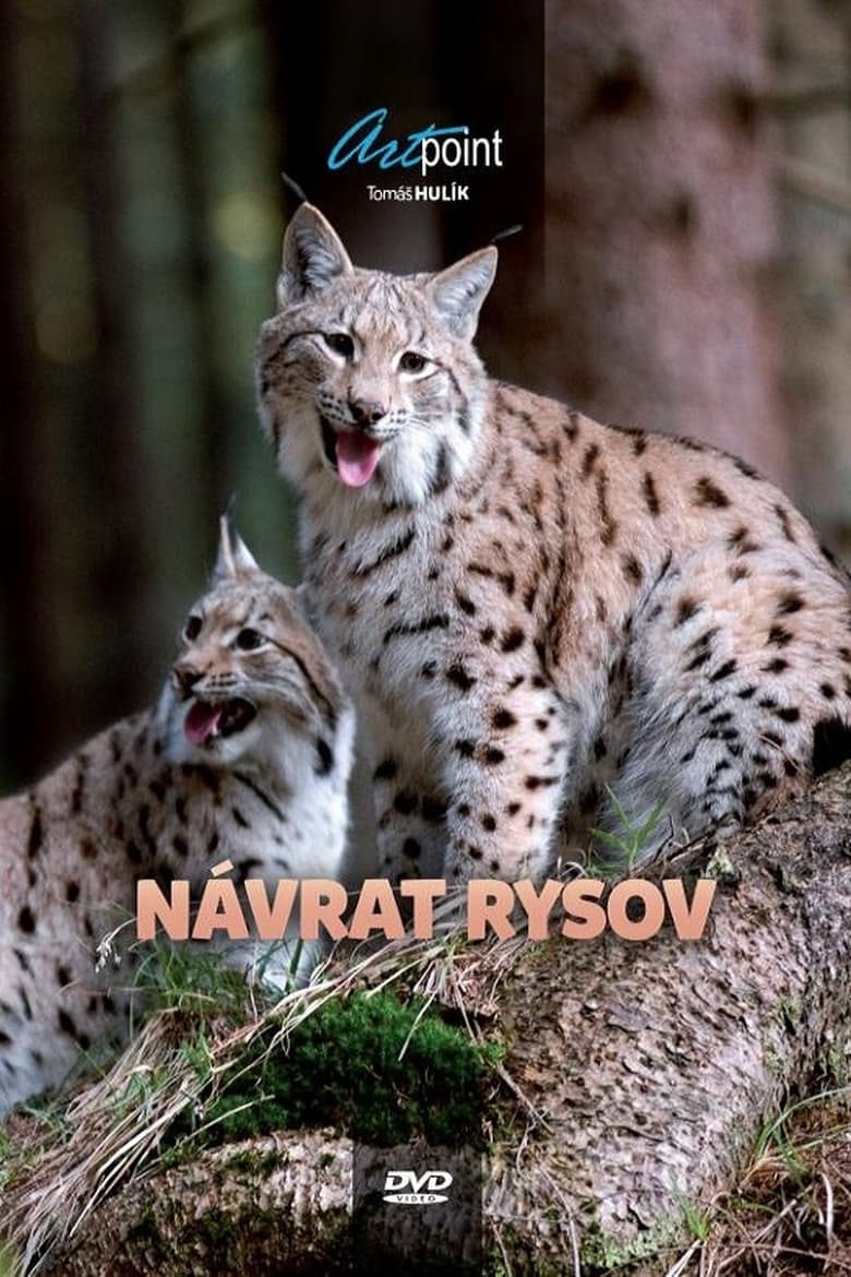 Poster of Návrat rysov