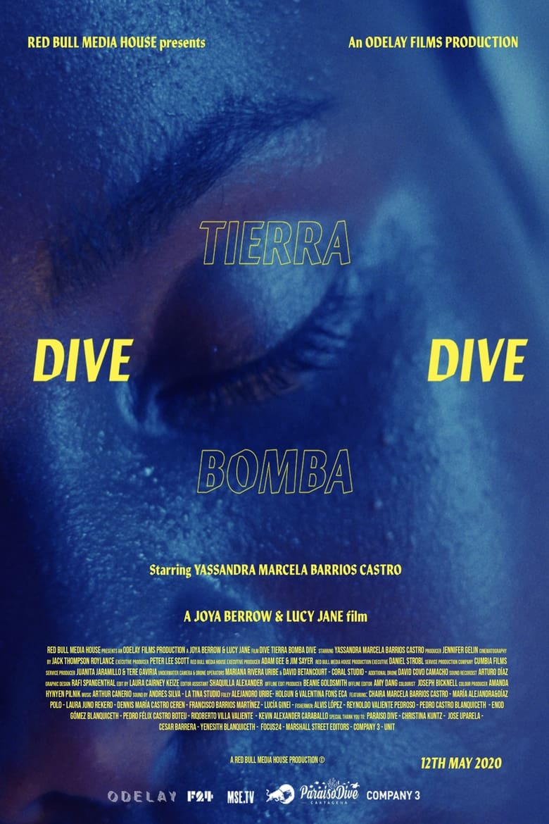 Poster of Dive Tierra Bomba Dive