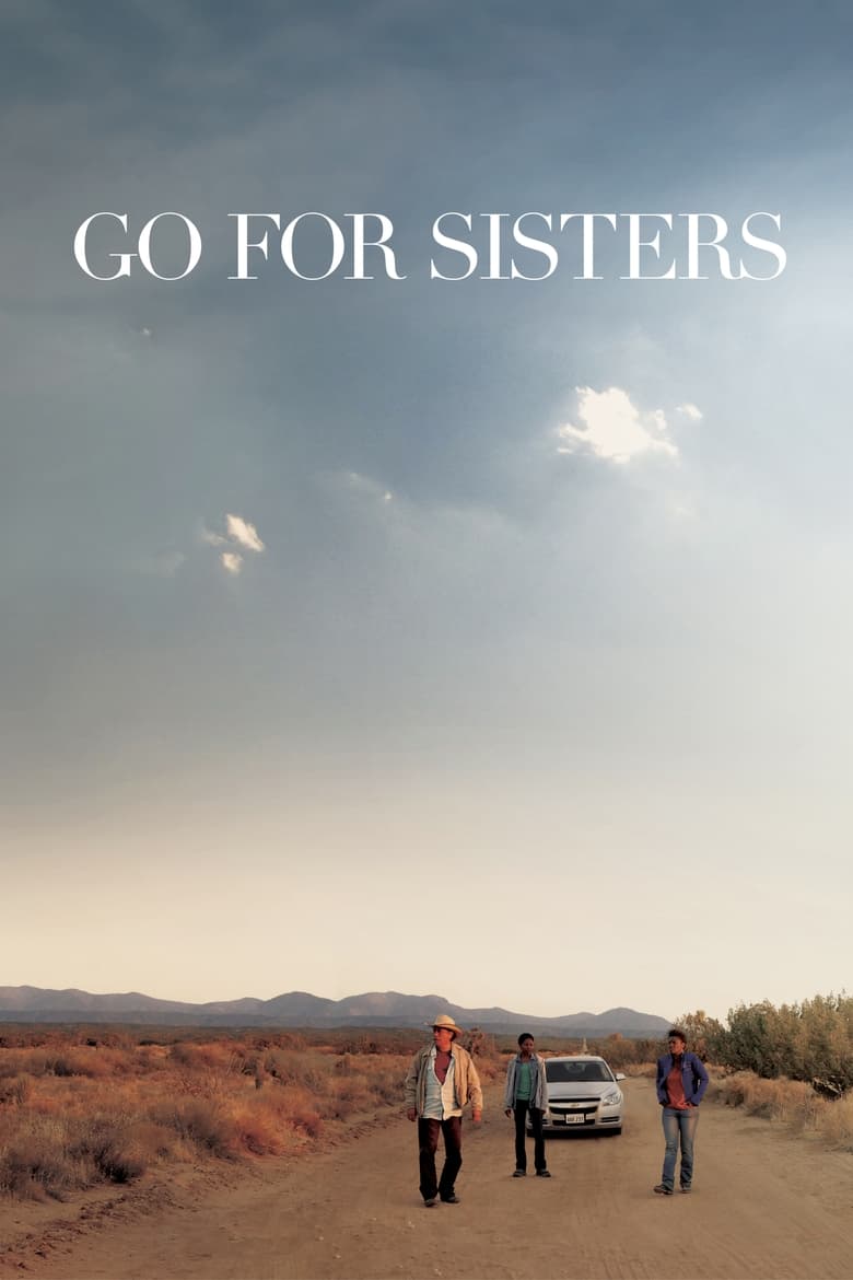 Poster of Go for Sisters