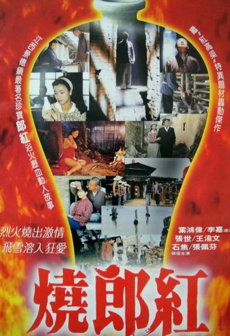 Poster of Story of Langhong