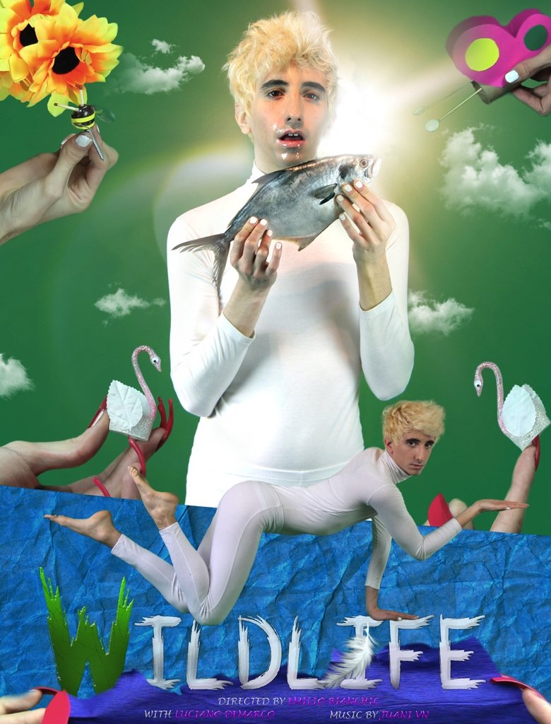 Poster of Wildlife
