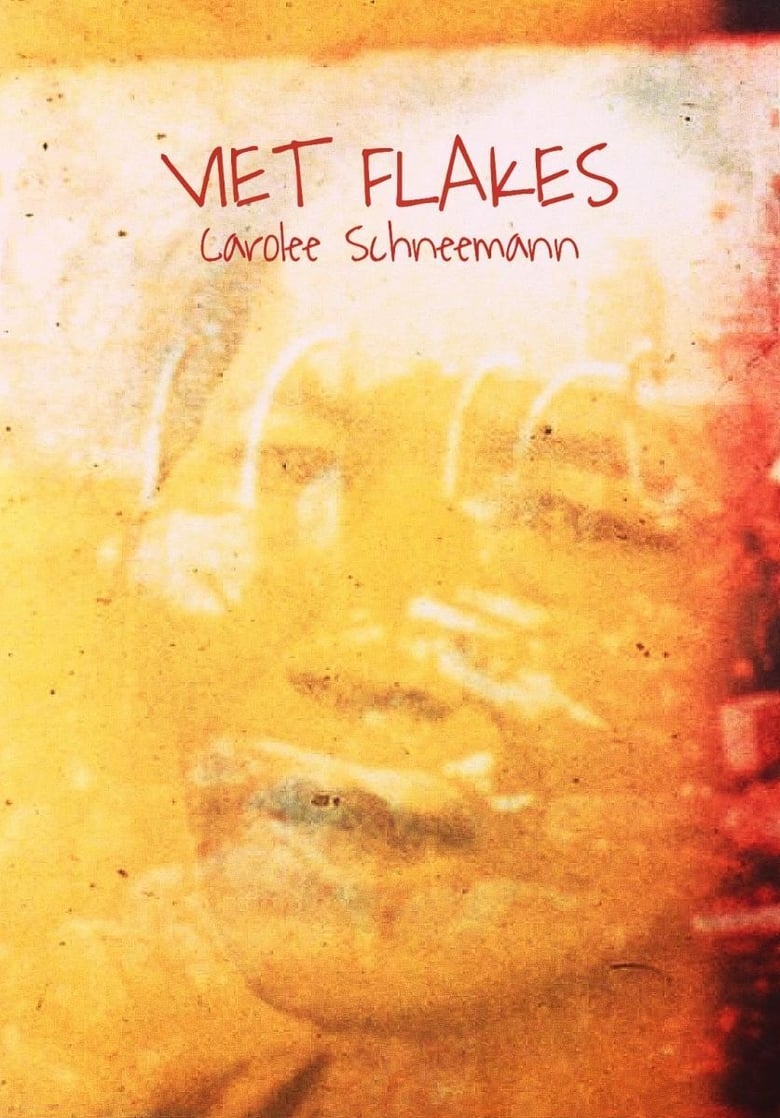 Poster of Viet Flakes