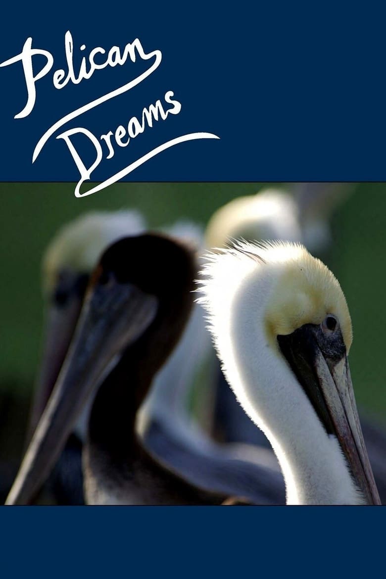 Poster of Pelican Dreams