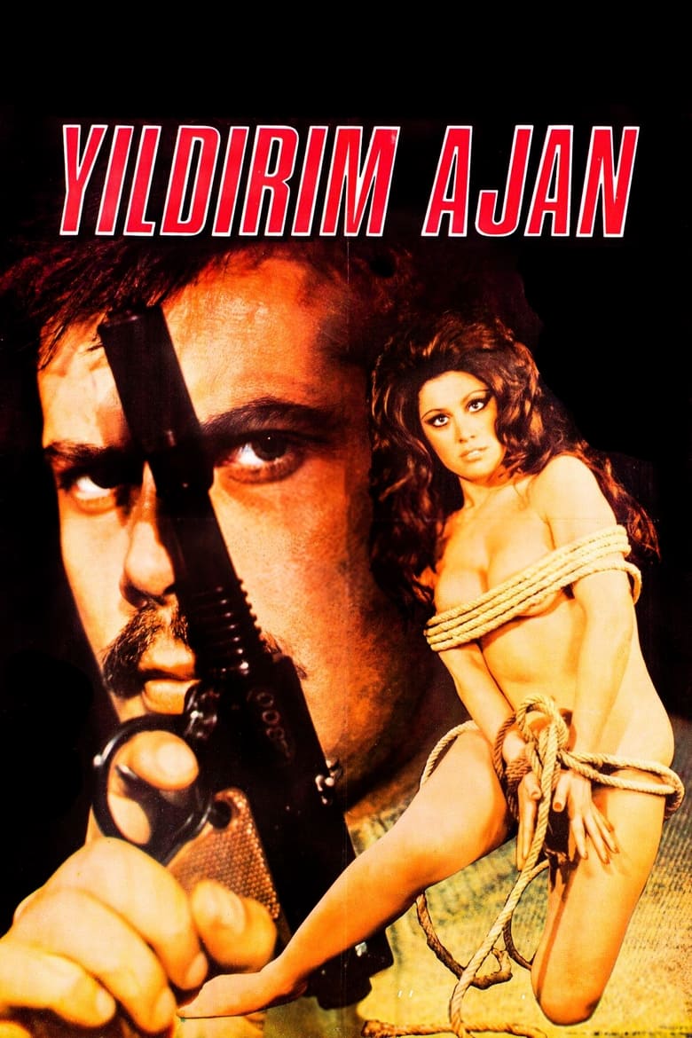 Poster of Yıldırım Ajan