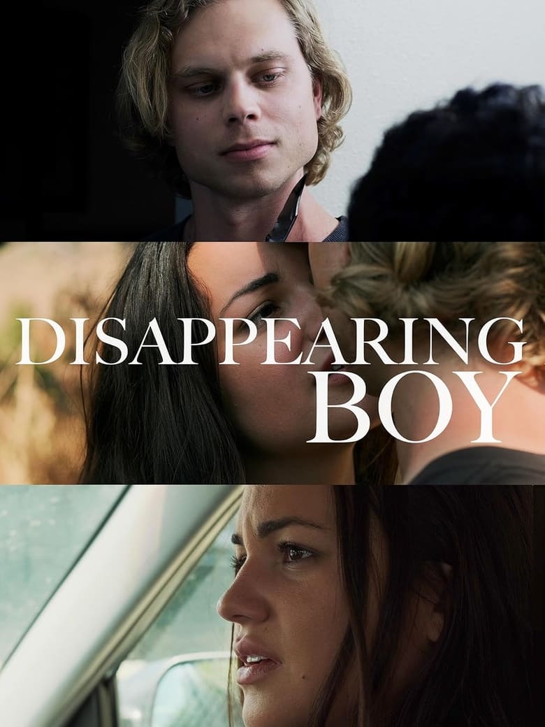 Poster of Disappearing Boy