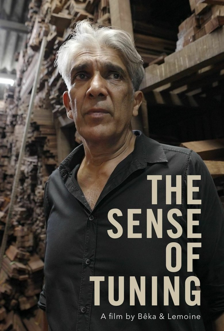 Poster of The Sense of Tuning