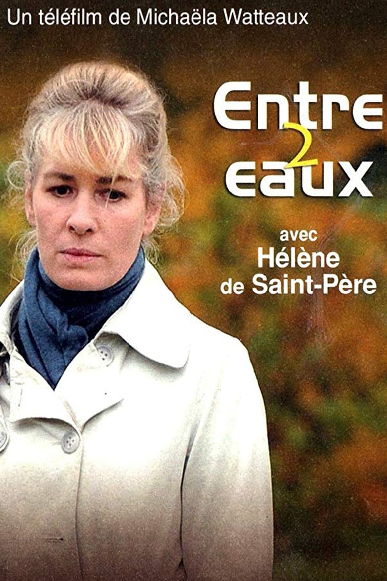 Poster of Entre deux eaux