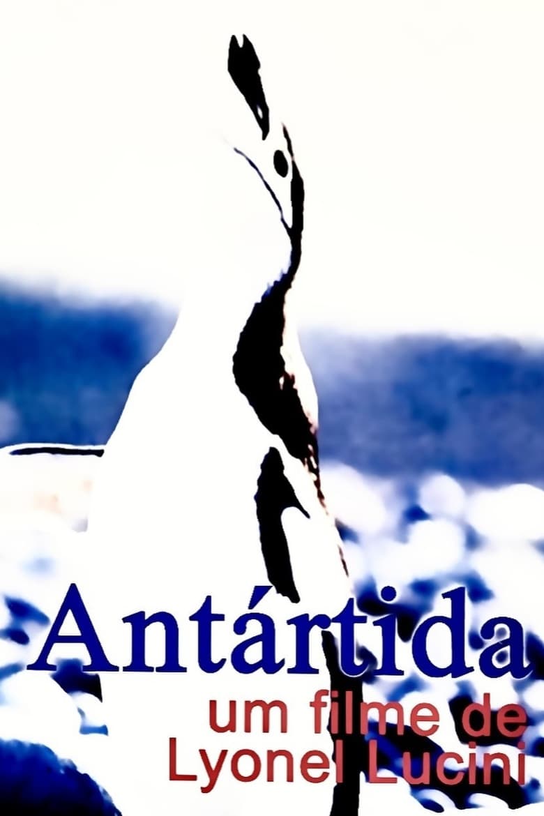 Poster of Antártida