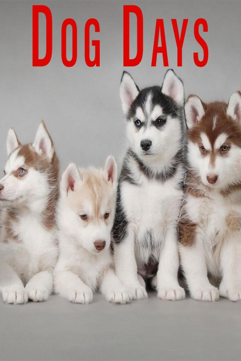 Poster of Dog Days