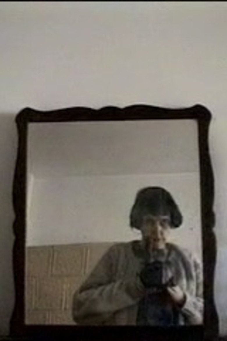 Poster of Looking for Vera Bardos