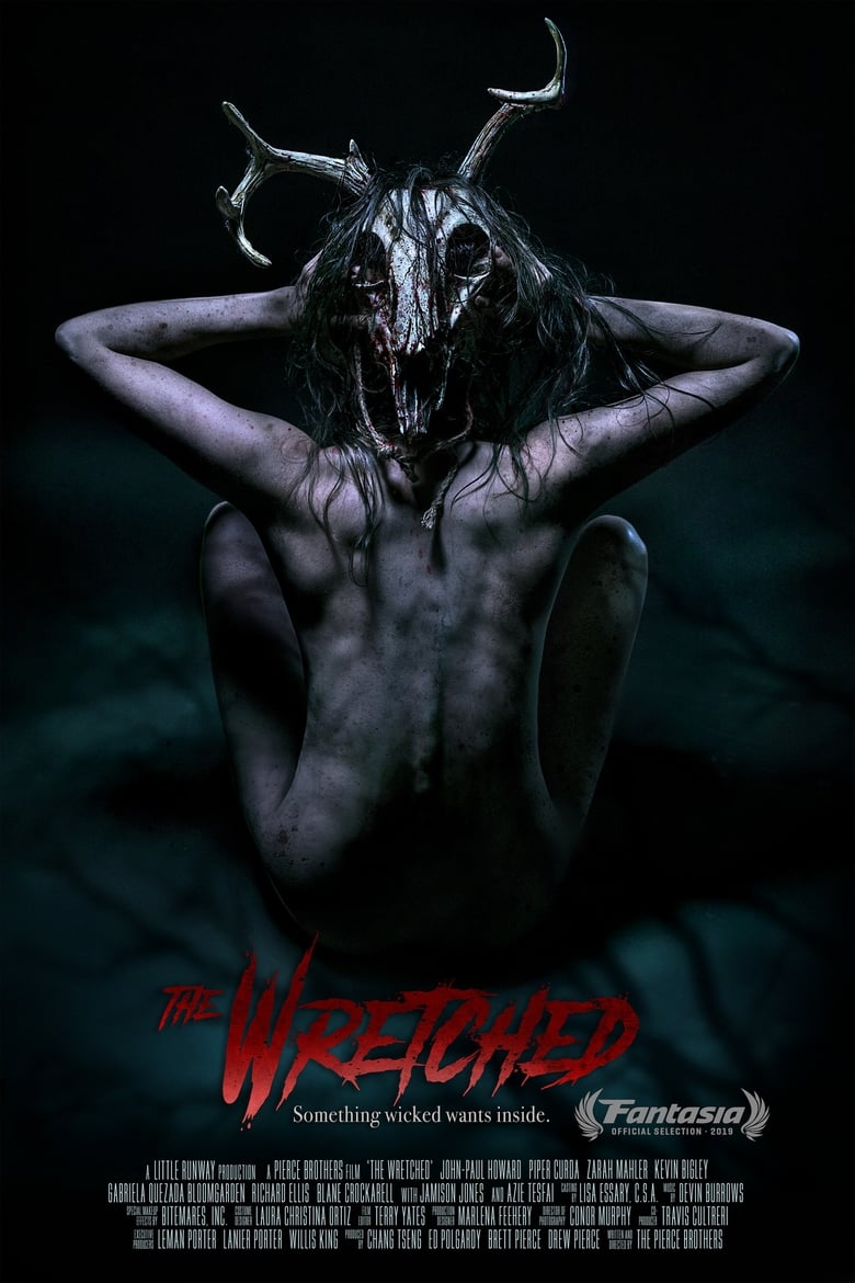 Poster of The Wretched