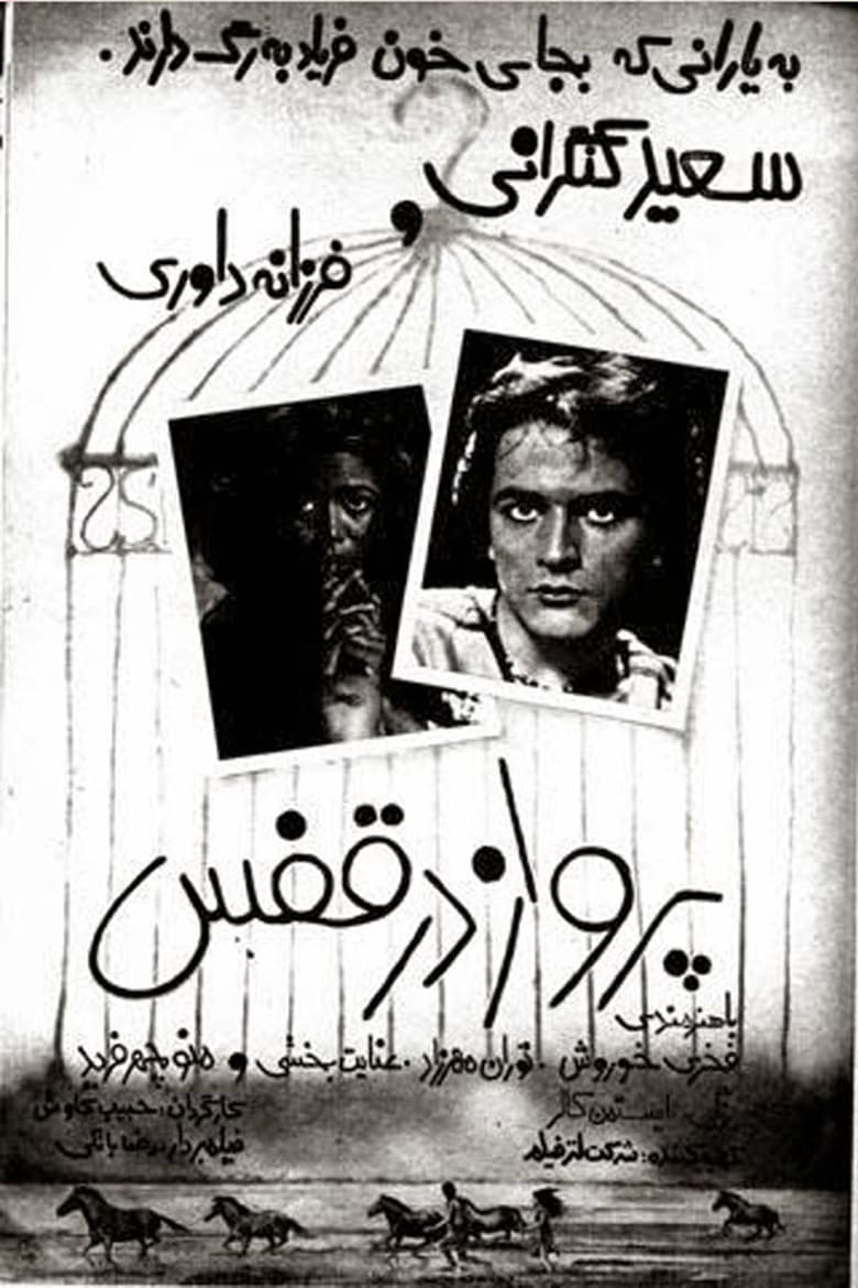 Poster of Parvaz dar ghafas