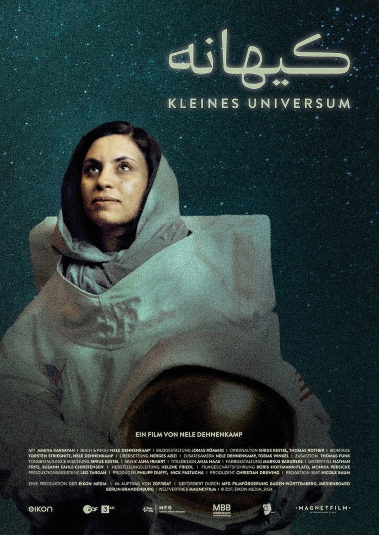 Poster of Little Universe