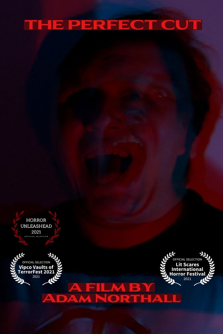 Poster of The Perfect Cut
