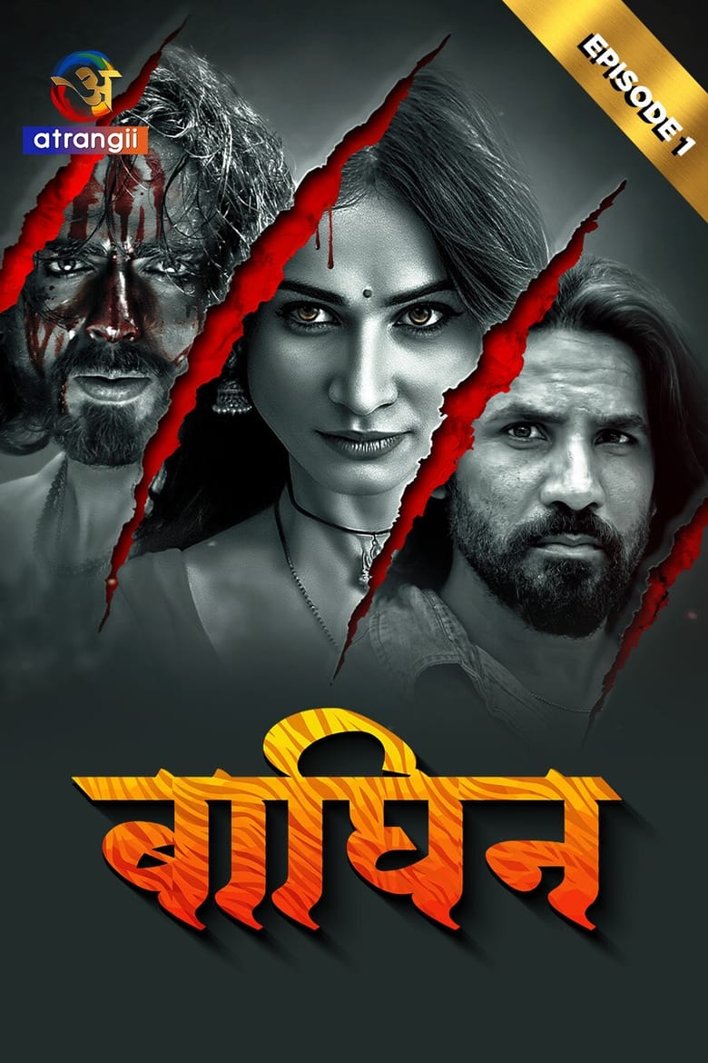 Poster of Baghin