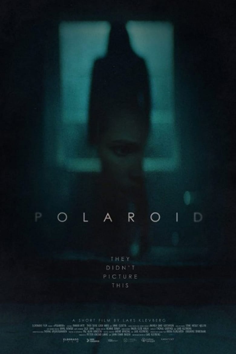 Poster of Polaroid